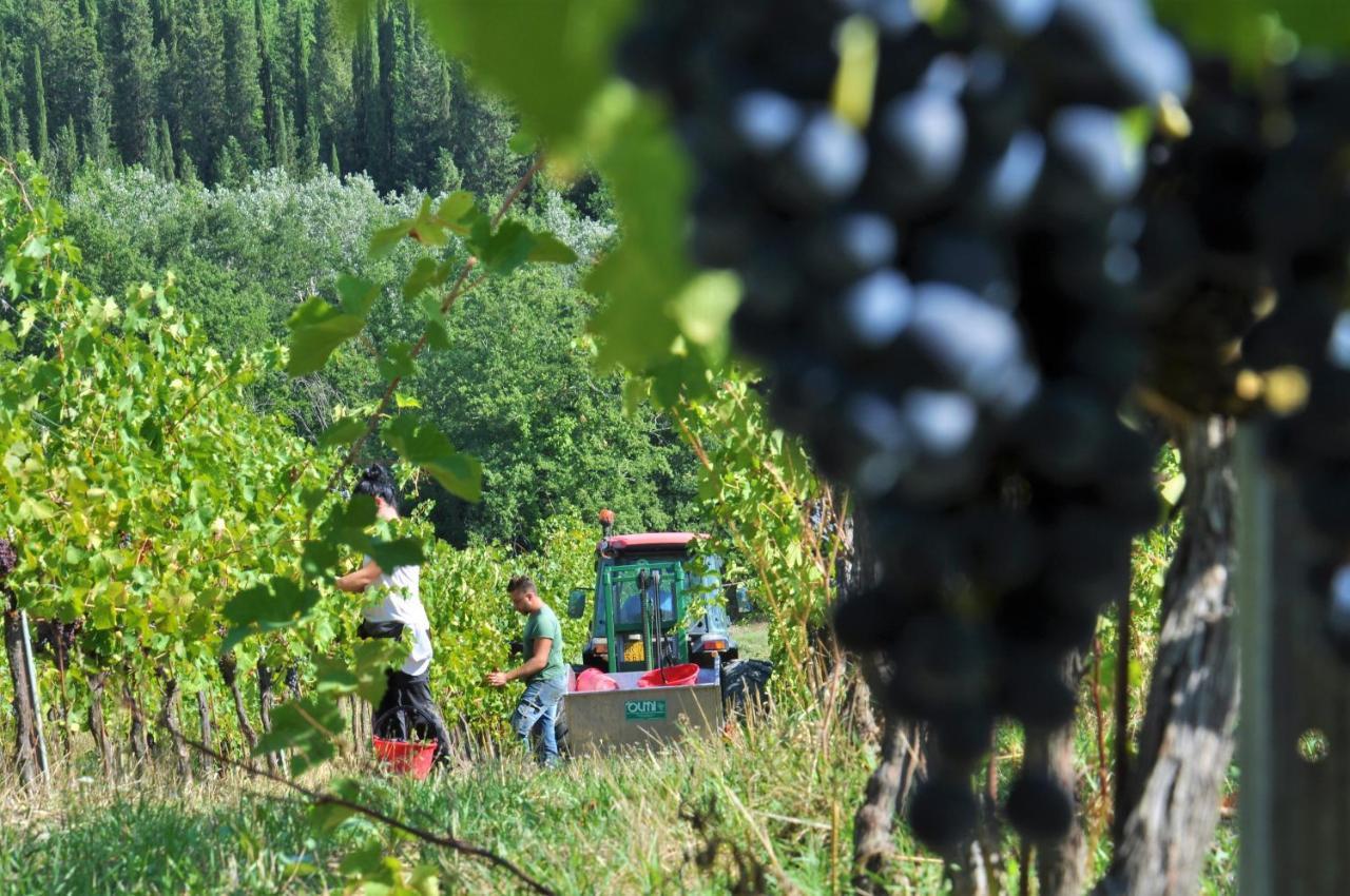 Tenuta Di Sticciano Villa Certaldo Esterno foto